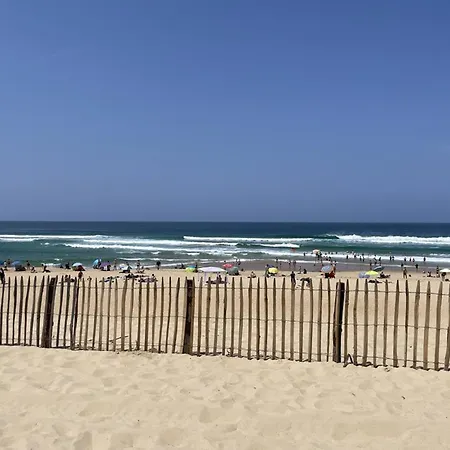 아파트 T2 A Vieux-boucau, Terrasse, Animaux Admis, Parking Prive - Fr-1-379-33 *